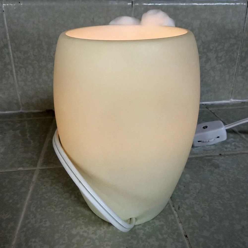 Ibis & Orchid Hummingbird Hibiscus Accent Night Light Lamp Sculpted Resin 5in